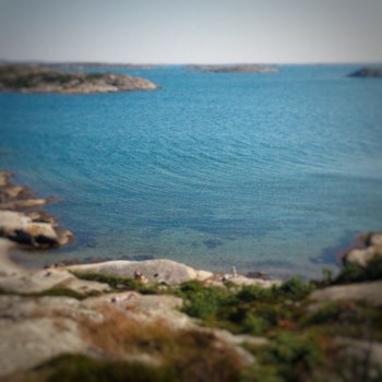 MulligSkbg